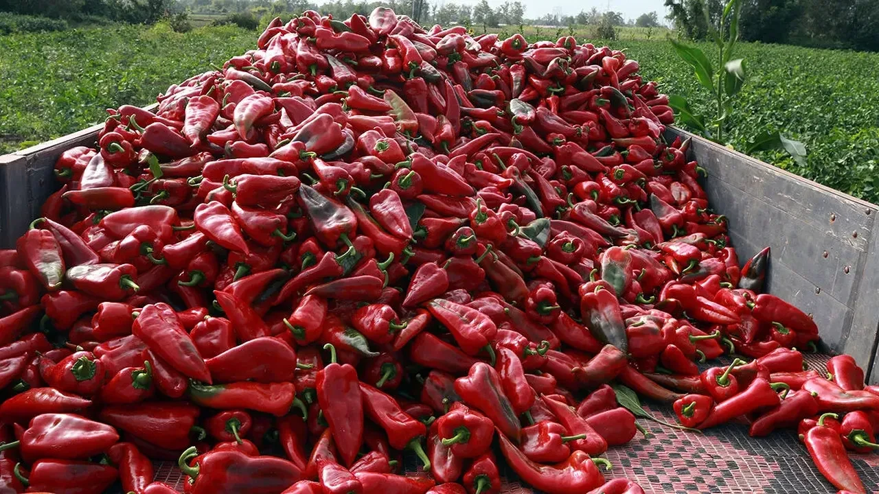 Kışlık hazırlık cep yakıyor! Fiyatlar katlandı, fatura kabardı