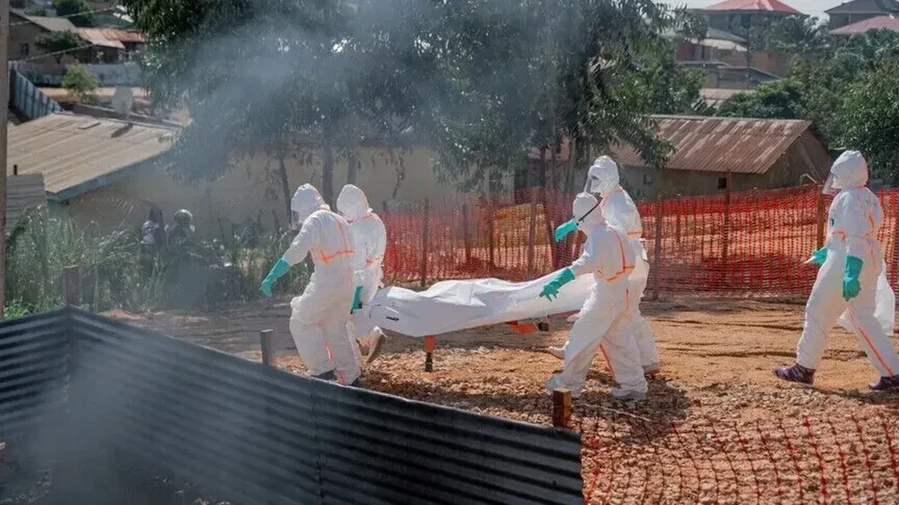 Risk çok yüksek! Ne tedavisi var ne aşısı... Salgın hızla yayılıyor