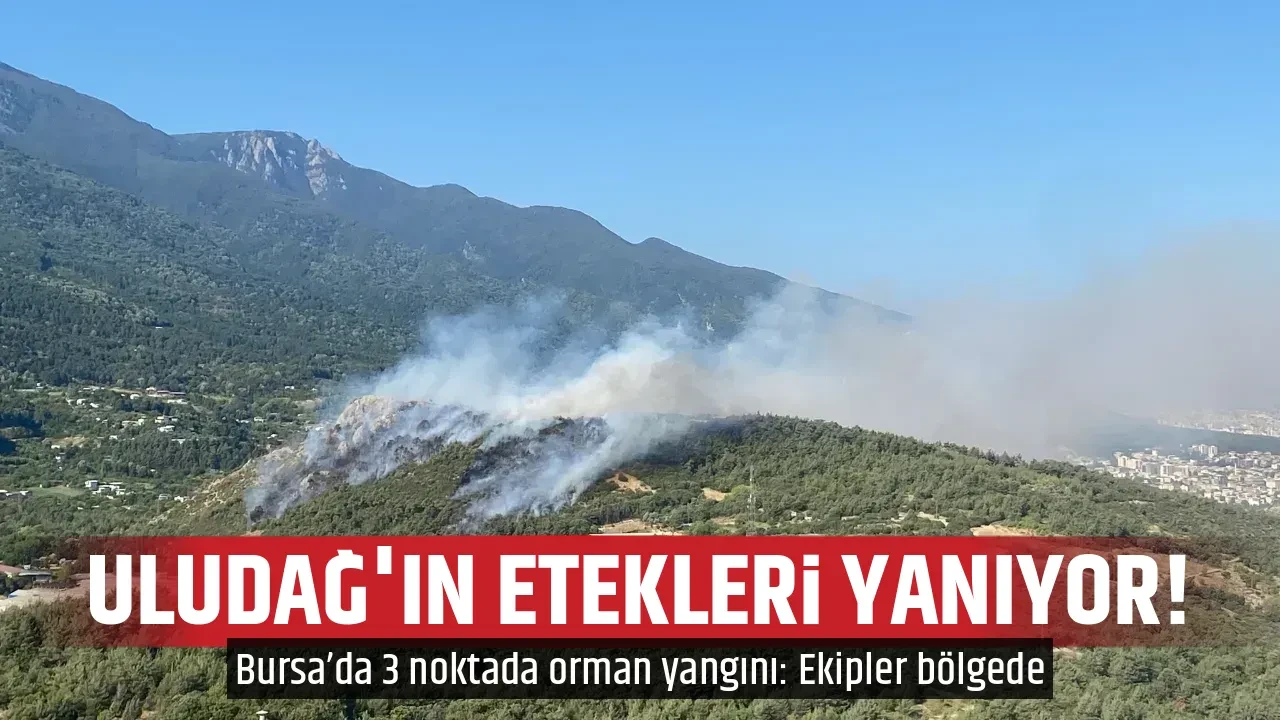 ULUDAĞ'IN ETEKLERİ YANIYOR!