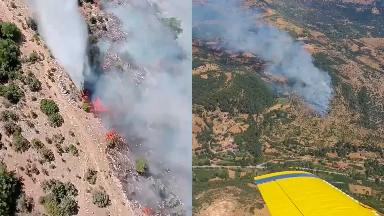 İzmir’de orman yangını! Ekipler havadan ve karadan müdahale ediyor