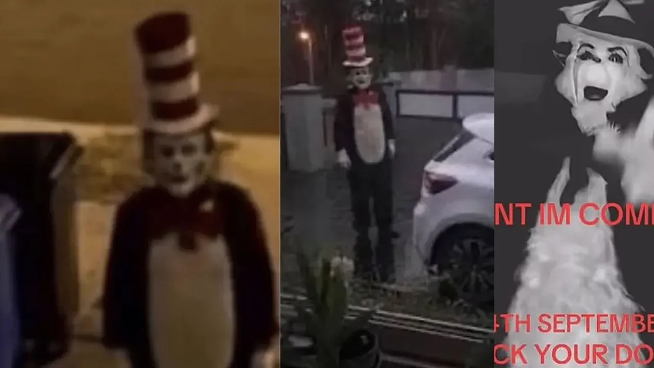 Sokaklardaki 'şapkalı kedi' korku saçtı! Emniyetten açıklama geldi