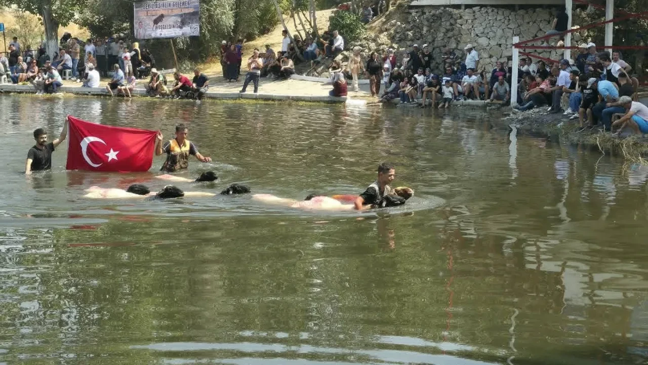 Tam 853 yıldır aynı geleneğe devam ediyorlar! Birinci olmak için koyun sürüleriyle suya girdiler