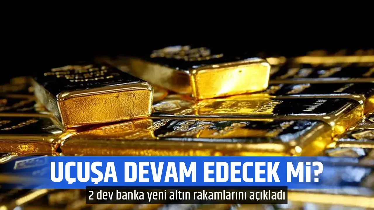 UÇUŞA DEVAM EDECEK Mİ?