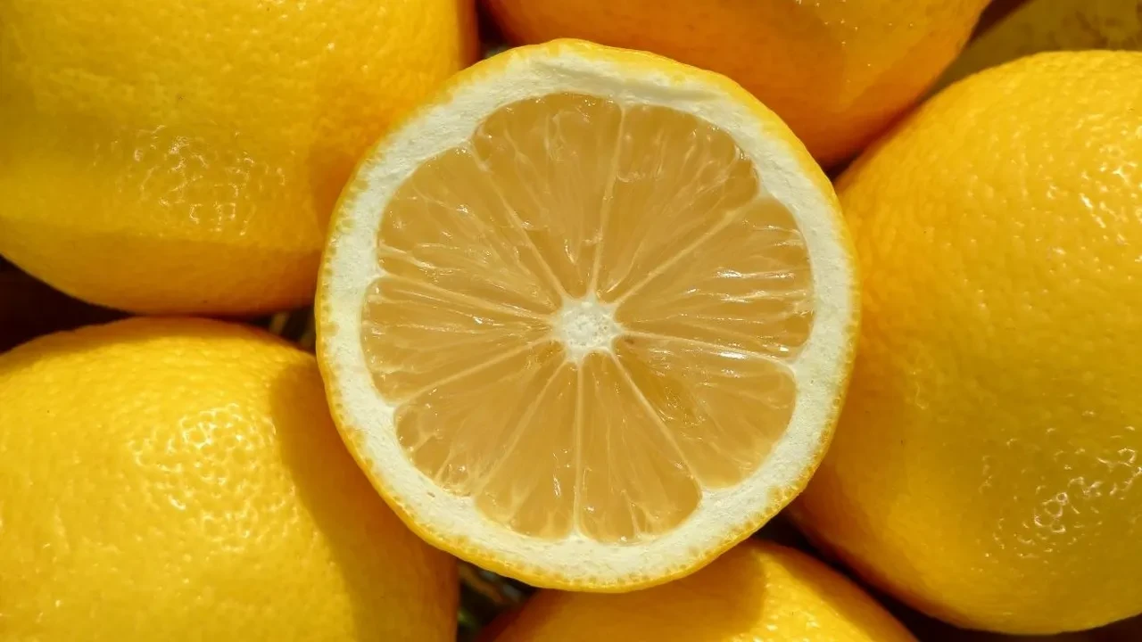 Annemin eski saç bakım sırrı! Limonu böyle kullanıyormuş