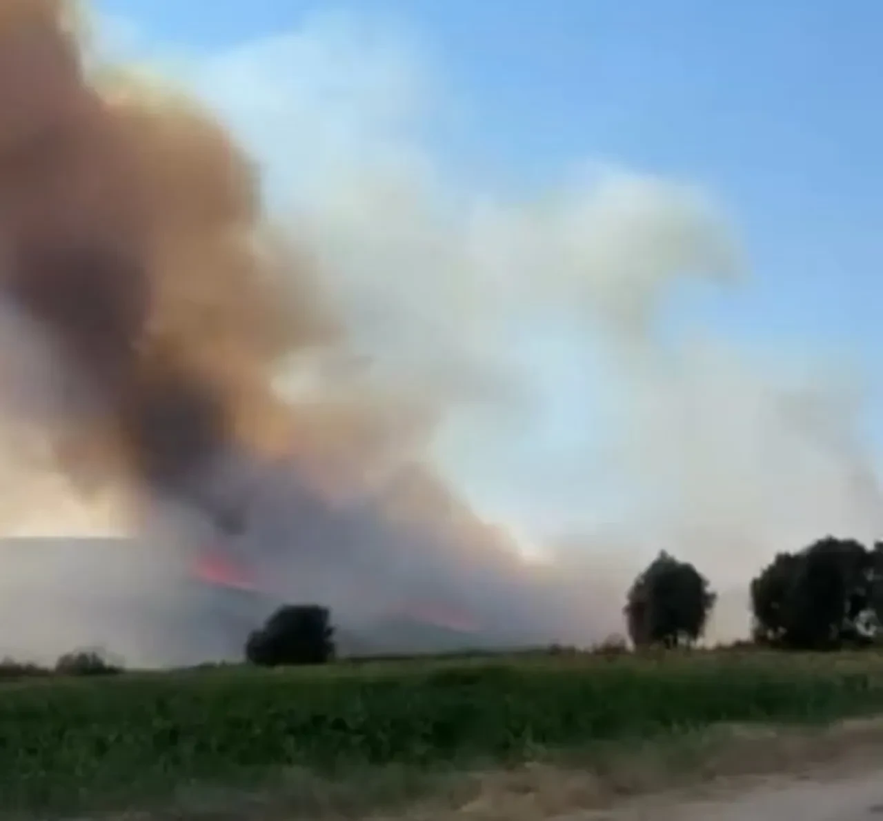 Bursa'da orman yangını! Ekipler seferber oldu