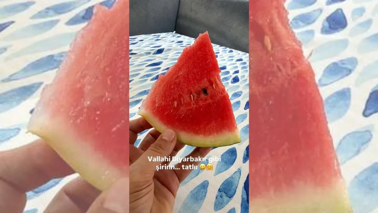 Ebru Yaşar Diyarbakır karpuzunu Avrupa'ya taşıdı! İşte lezzet yolculuğunun perde arkası
