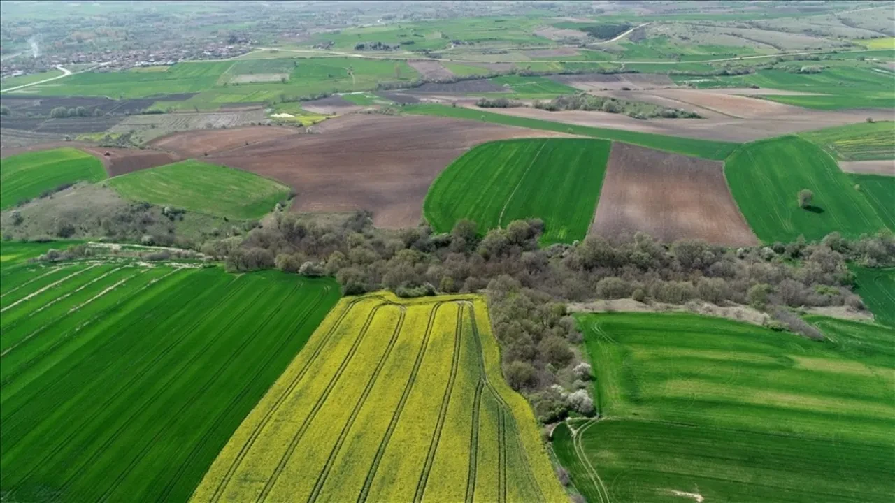 Kentsel Dönüşüm Başkanlığı’ndan arsa müzayedesi! 24 ilde 660 arsa 24 ay vade ile satışa çıkıyor