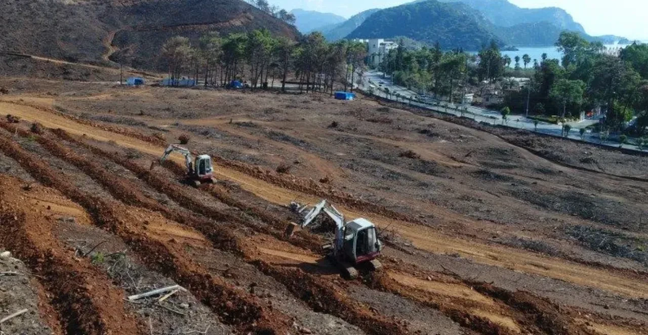 DMM'den 'Yanan ormanlık alanlara villalar yapıldı' iddialarına cevap