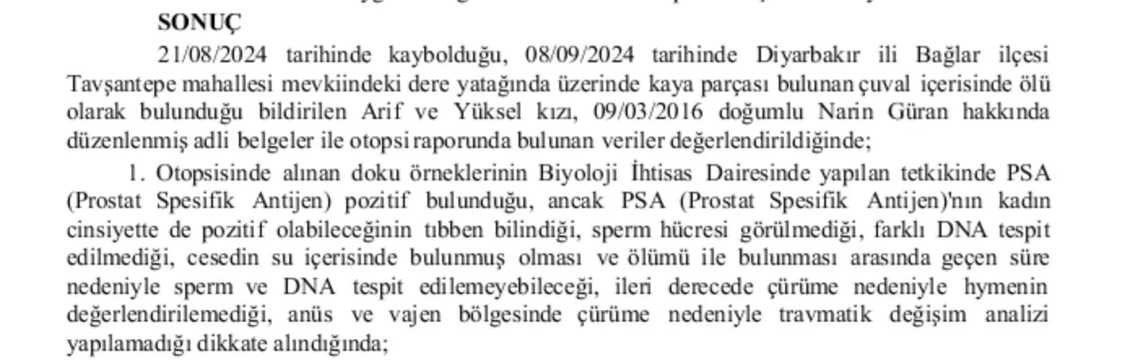 Narin Güran 'Şeytantepe' belgeseline soruşturma