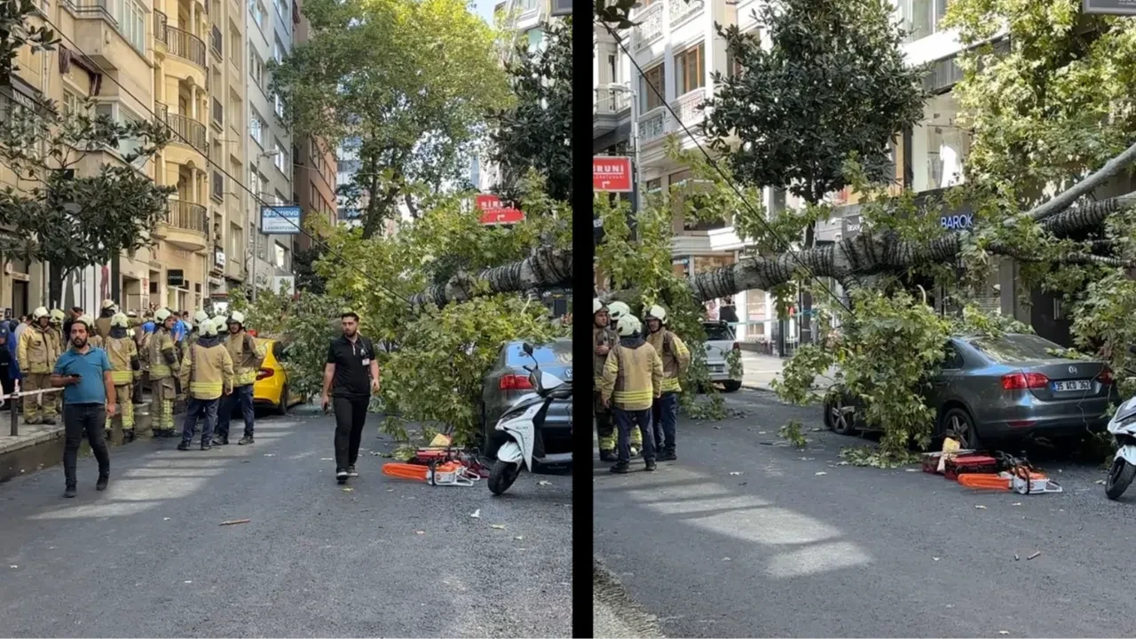 Nişantaşı’nda çınar ağacı iki aracın üzerine devrildi! Taksici kendini zor kurtardı