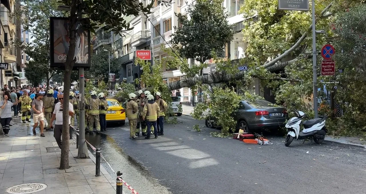 Nişantaşı’nda çınar ağacı iki aracın üzerine devrildi! Taksici kendini zor kurtardı