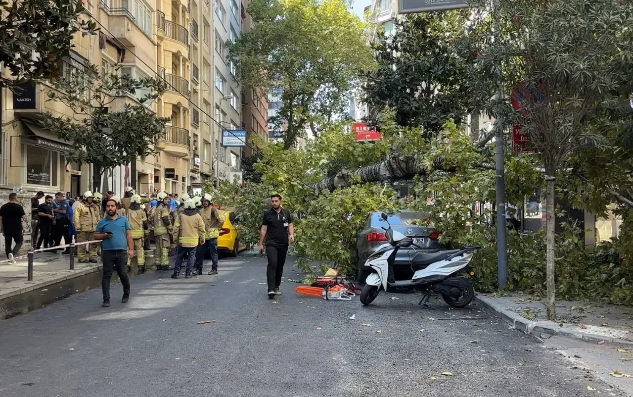Nişantaşı’nda çınar ağacı iki aracın üzerine devrildi! Taksici kendini zor kurtardı