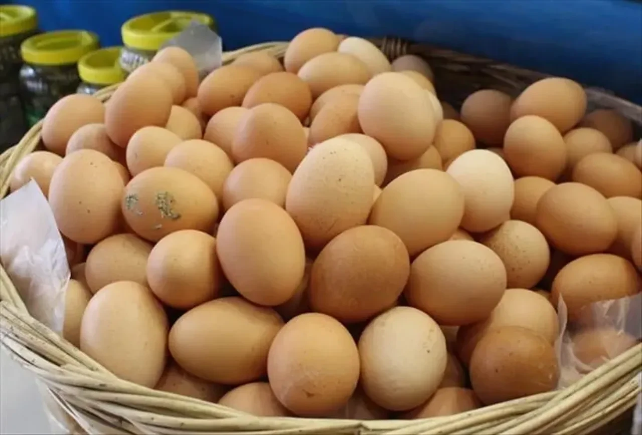 Salmonella bakterisi sofraları tehdit ediyor! Yüzlerce kişi hastanelik oldu