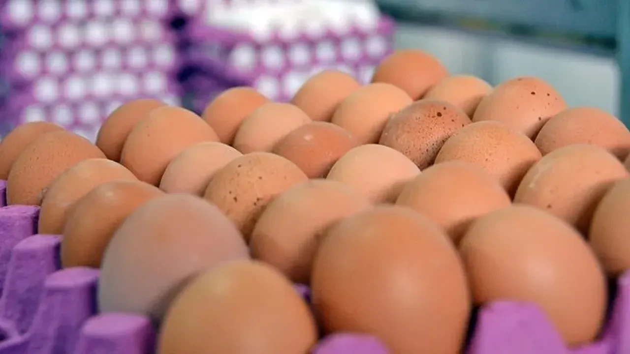 Salmonella bakterisi sofraları tehdit ediyor! Yüzlerce kişi hastanelik oldu