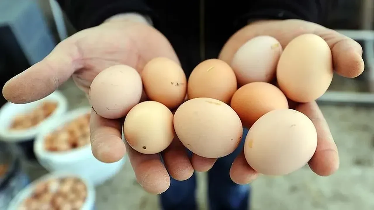Salmonella bakterisi sofraları tehdit ediyor! Yüzlerce kişi hastanelik oldu