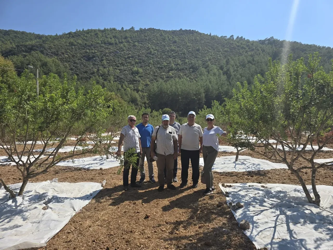 Muğla’da yetişiyor, kilosu altını da geçti! Fiyatı 50 bin TL'ye kadar çıkıyor 