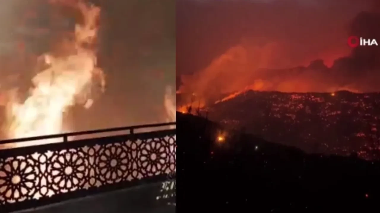 Yangın evlere sıçradı! Cezayir'deki felakette çok sayıda kişi hayatını kaybetti