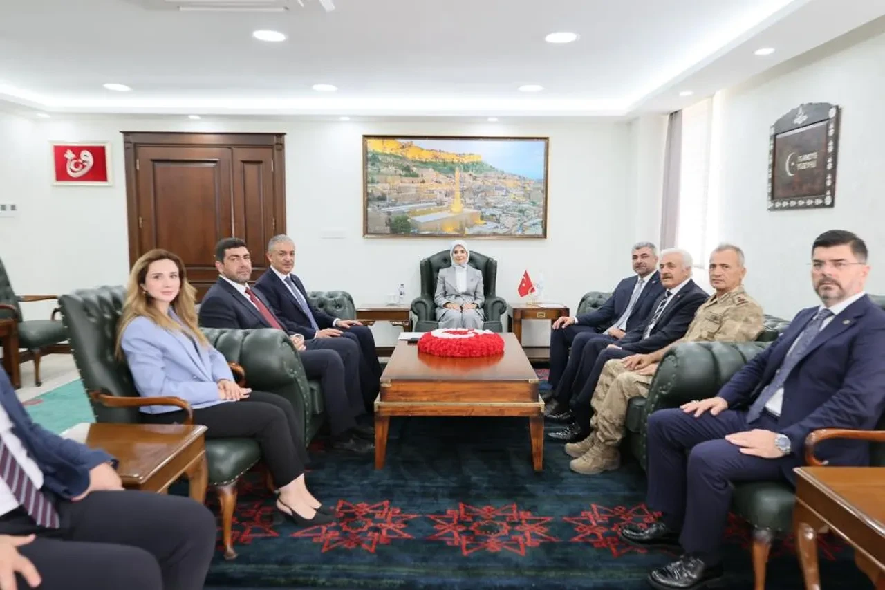 Bakan Göktaş Mardin'den duyurdu! Doğum yardımları annelerin hesaplarına yatırıldı