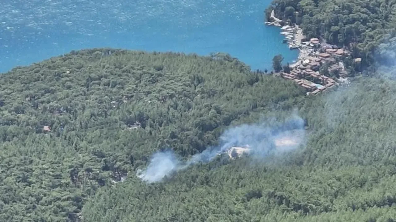 Bu defa korkulan olmadı: Hızlı müdahale işe yaradı!