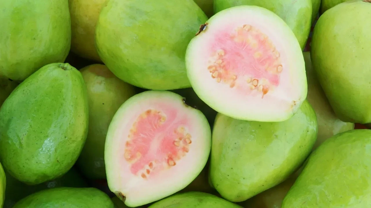 Cilt güzelliğinin tropikal sırrı! Guavanın C vitamini zenginliğini keşfettim