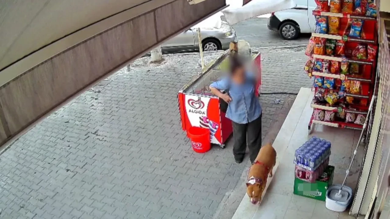 İzmir'de pitbull dehşeti: 5 çocuk annesi kadının parmağını kopardı!