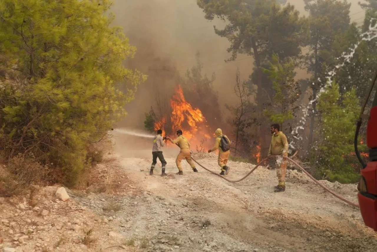 Muğla’da başlayan yangın Antalya sınırına dayandı! Alevlere havadan ve karadan müdahale ediliyor