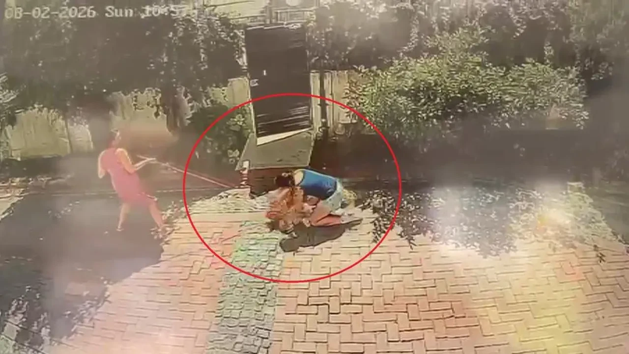 Pitbull dehşeti kamerada! Küçük kızı yere savurdu, köpeğini de ağır yaraladı