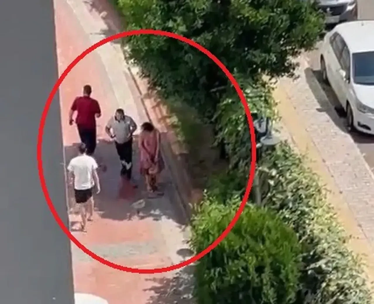 Pitbull dehşeti kamerada! Küçük kızı yere savurdu, köpeğini de ağır yaraladı