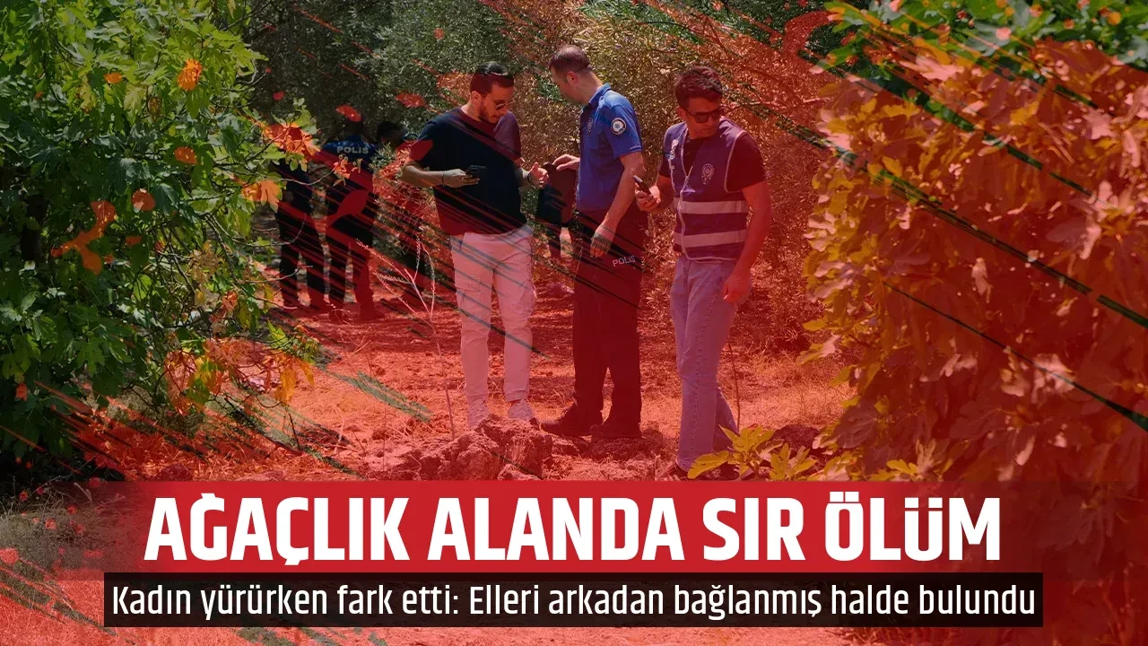 AĞAÇLIK ALANDA SIR ÖLÜM