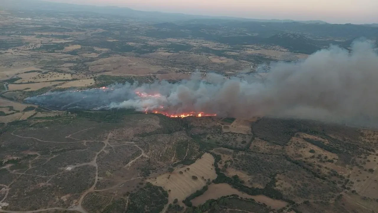 Çanakkale Ezine'de orman yangını! Alevlere havadan ve karadan müdahale sürüyor