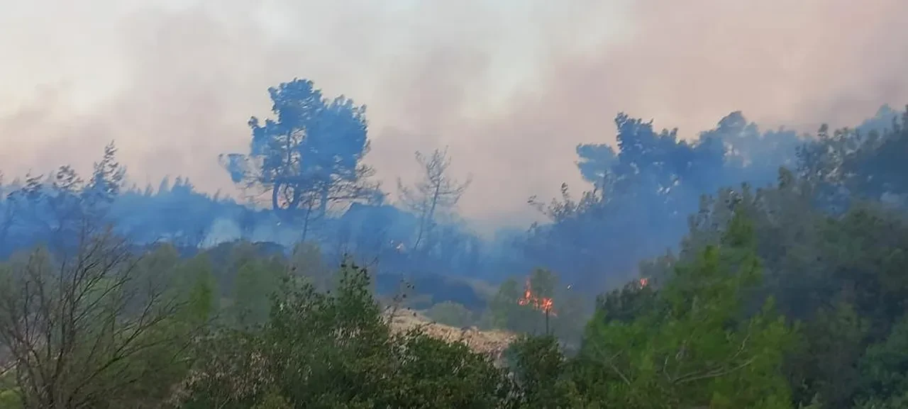 Çanakkale Ezine'de orman yangını! Alevlere havadan ve karadan müdahale sürüyor