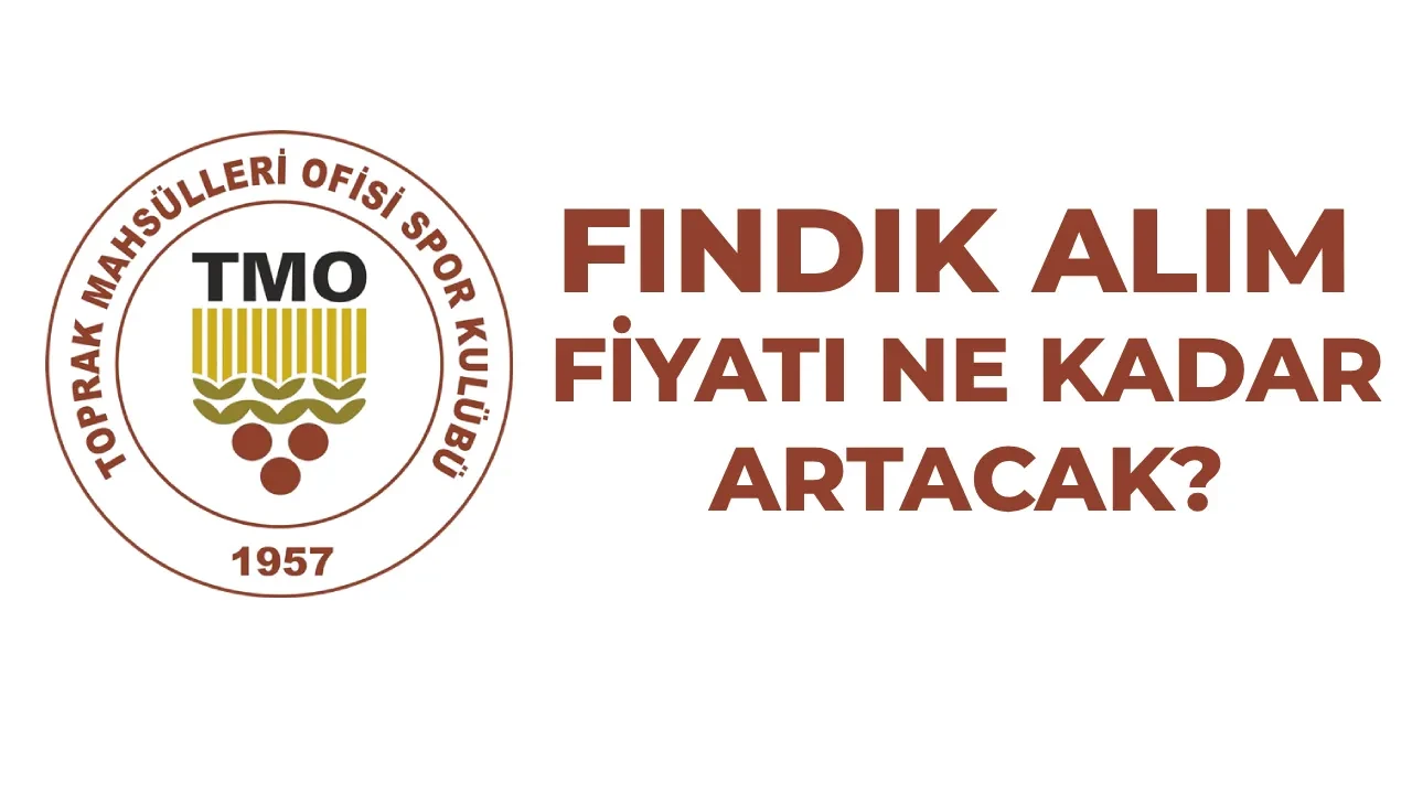 Fındık fiyatları TMO tarafından açıklandı mı? 2026-2027 Giresun, Levant, Sivri fındık alım fiyatları ne kadar? 