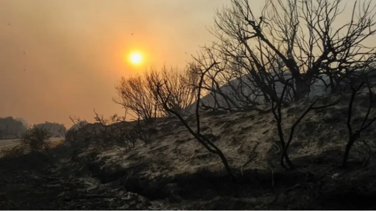 Orman yangını tehlikesi