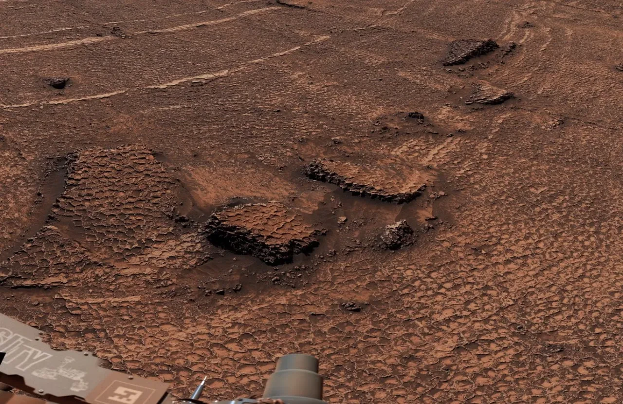 Mars'ta yaşamın kanıtı mı bulundu? Dev 'petekler' tüm bildiklerimizi unutturacak
