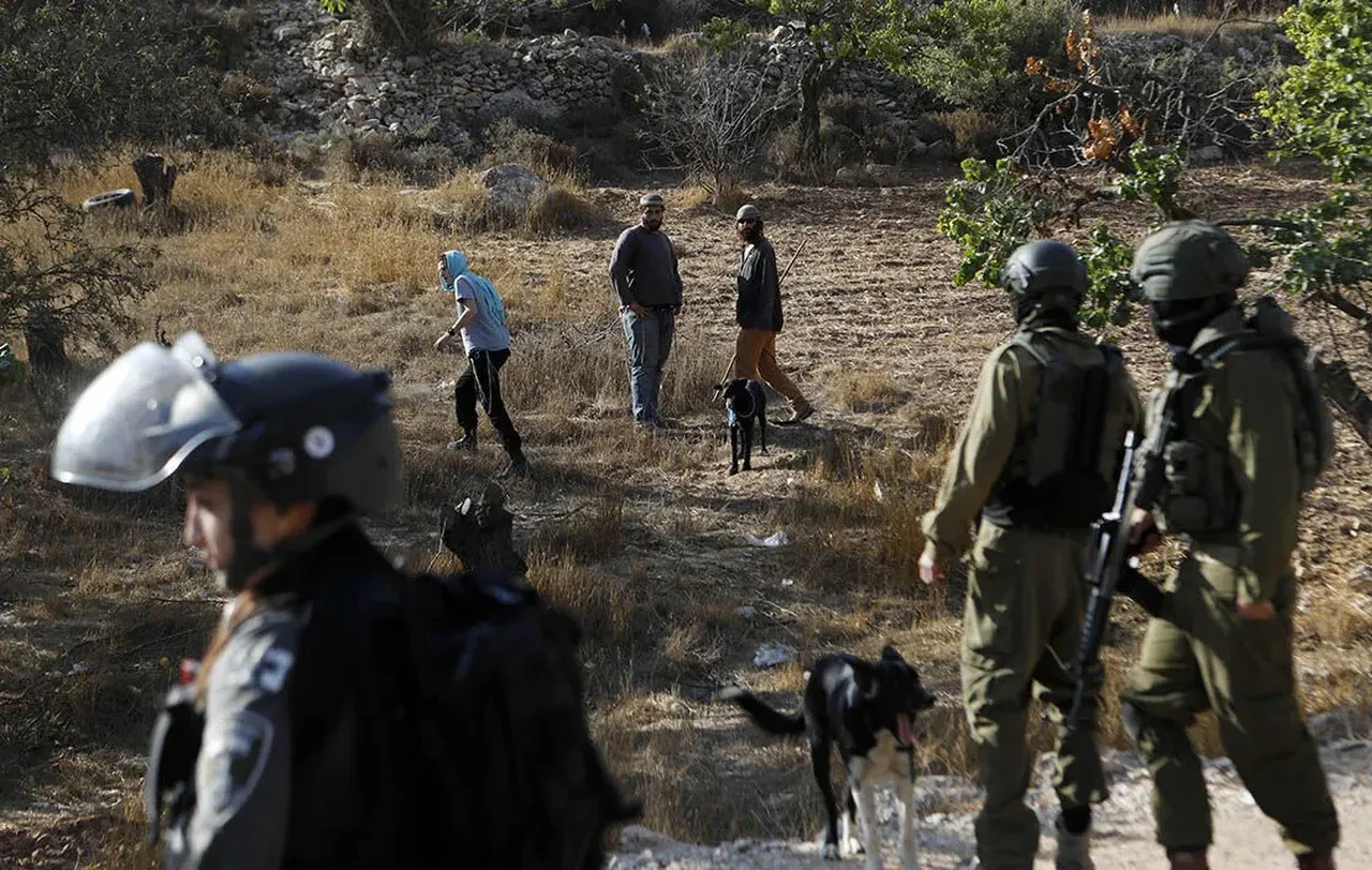 MİT Başkanı İbrahim Kalın, Hamas heyetiyle görüştü