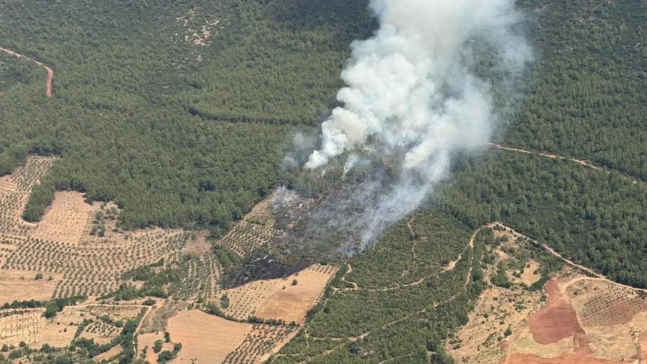 Muğla'da orman yangını! Ekipler alevlere havadan ve karadan müdahale ediyor