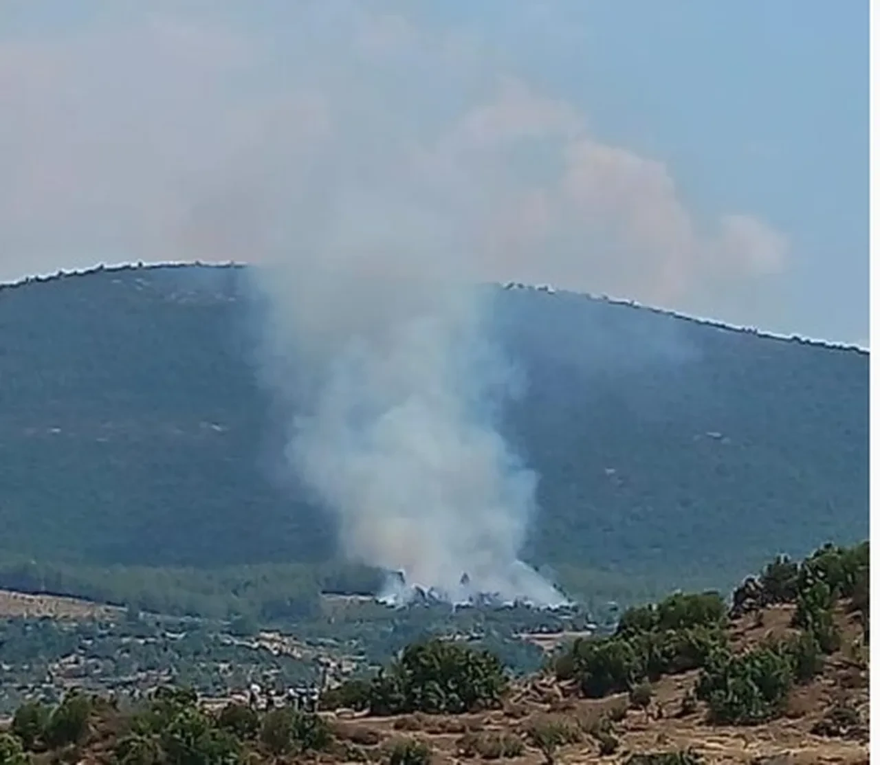 Muğla'da orman yangını! Ekipler seferber oldu, alevler kontrol altına alındı