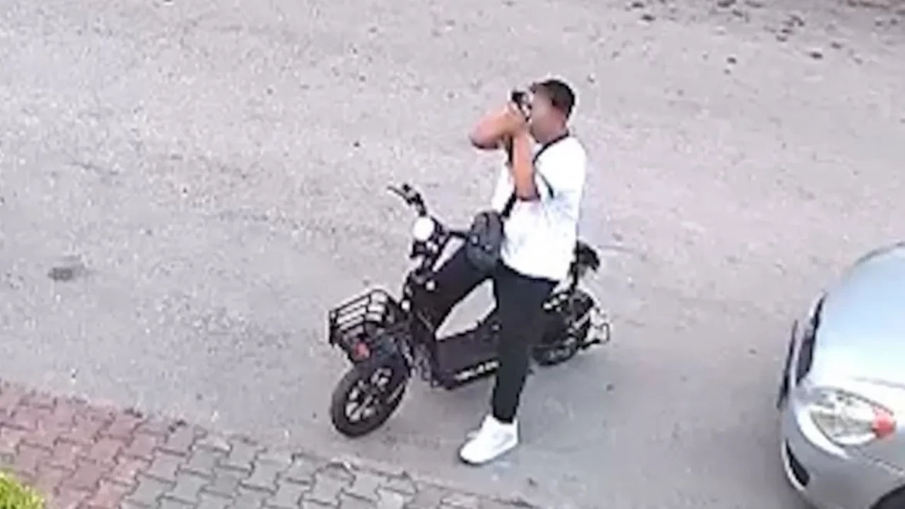 Önce öptü sonra boğdu! Bolu’da korkunç kedi vahşeti