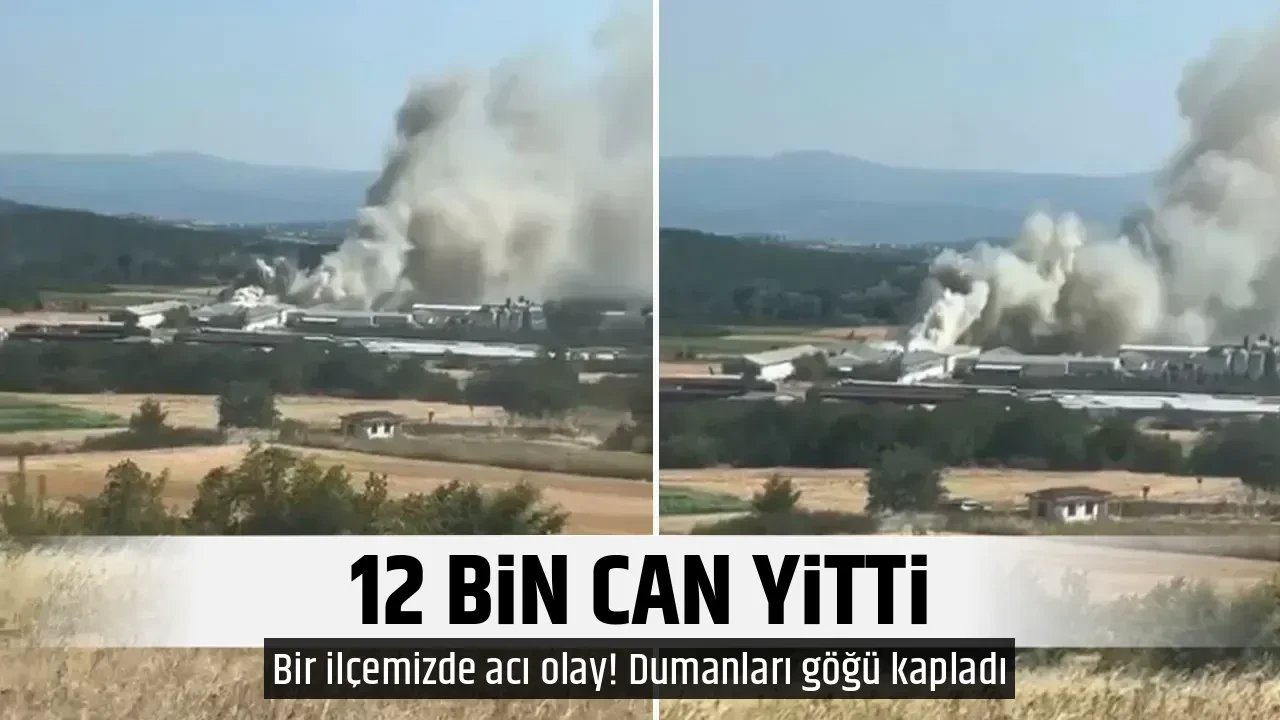 12 BİN CAN YİTTİ