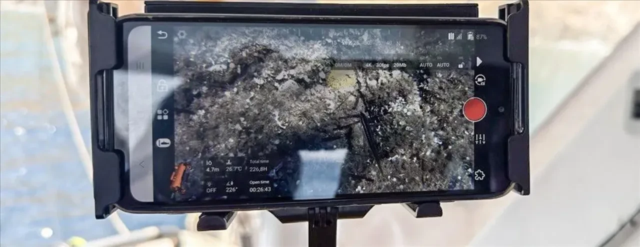 Ege Denizi'nde bugüne kadarki en büyük mercan ormanı keşfedildi