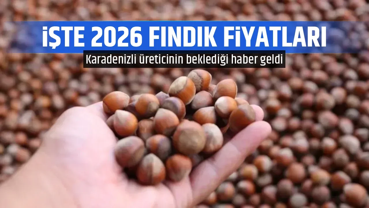 İŞTE 2026 FINDIK FİYATLARI