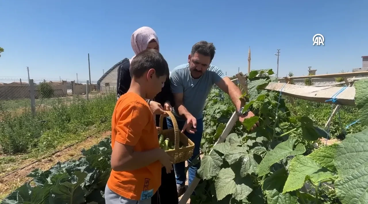 Bu otelde para geçmiyor! Konyalı çiftin sıra dışı oteli yoğun ilgi görüyor