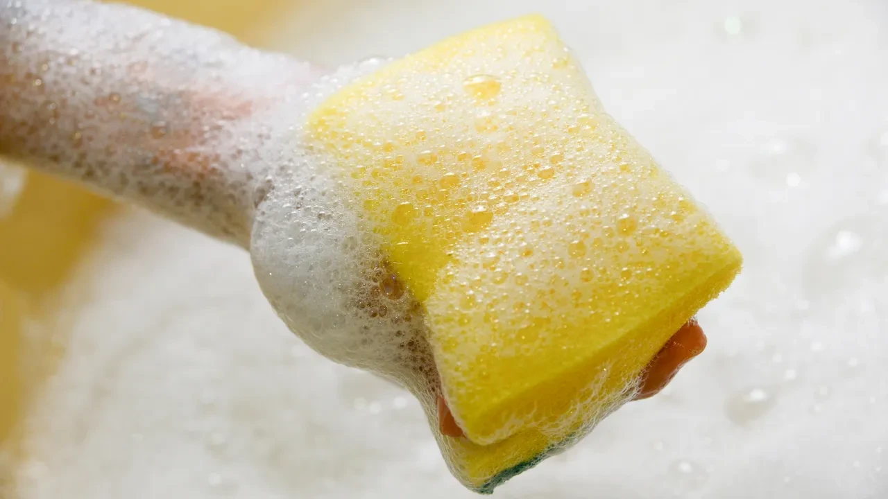 Evde asla ikinci kez kullanılmaması gereken eşya! Adeta mikrop yuvası