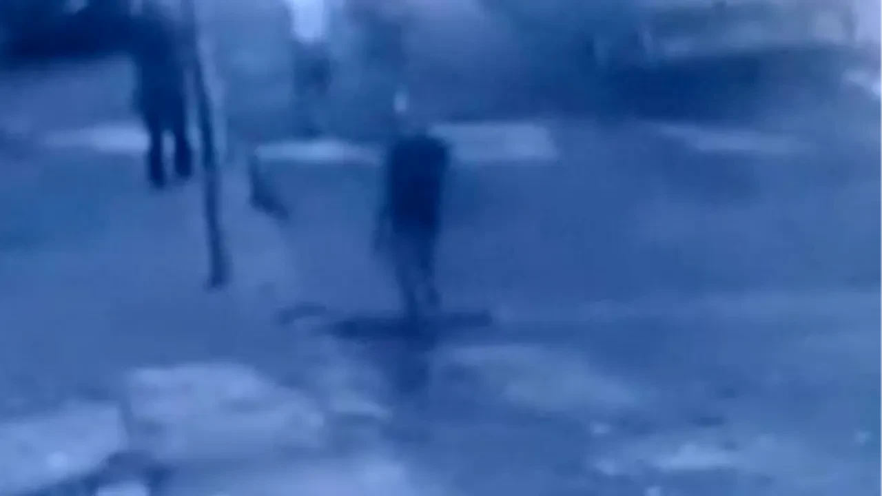 Kardeşlerin miras kavgası kanlı bitti! Dehşet anları anbean kamerada