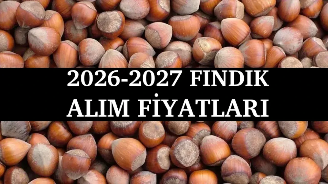 TMO fındık alım fiyatları 2026! TMO fındık alımları ne zaman başlayacak, ek ödeme ne kadar? 