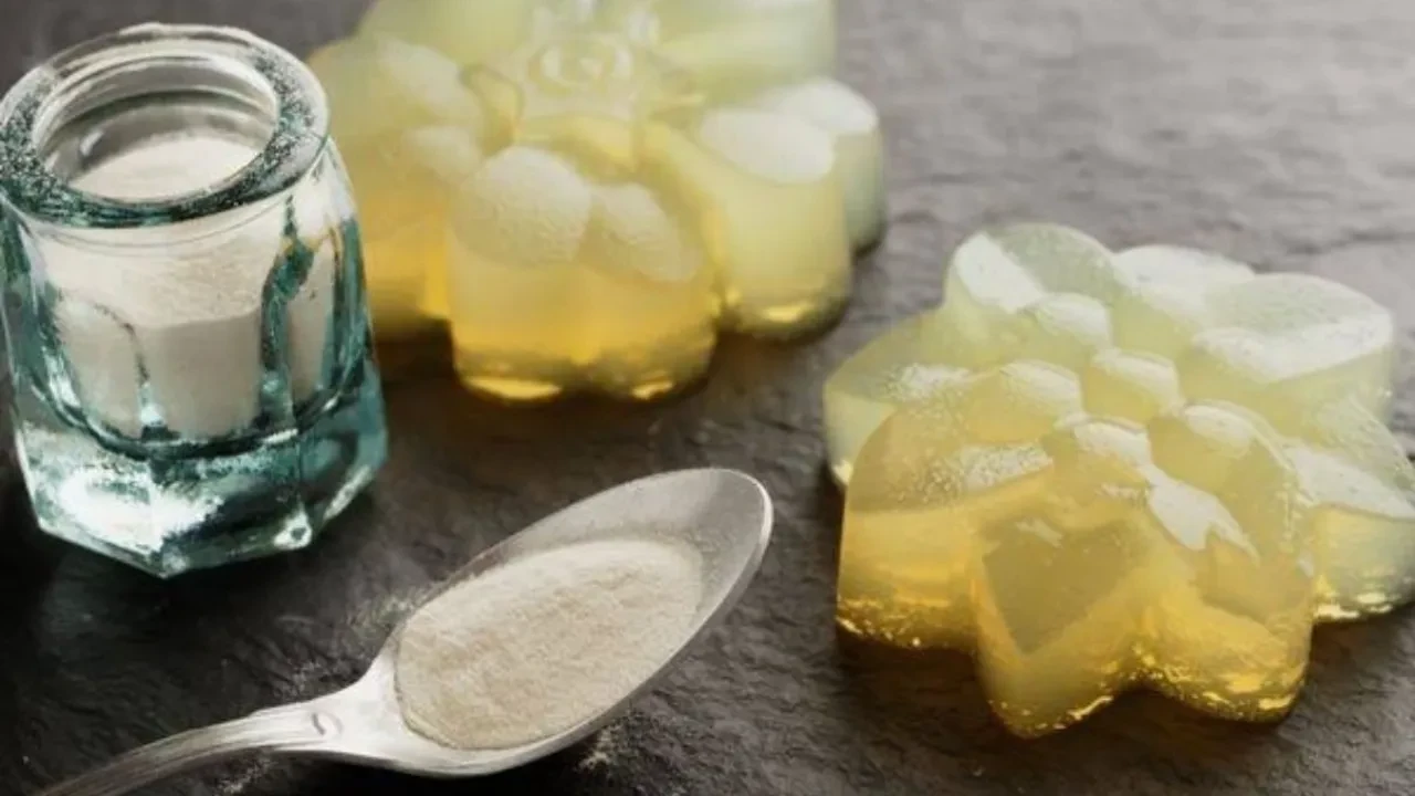 MasterChef sonrası aramalar patladı! Agar Agar'ın ne işe yaradığını duyan şaşırıyor