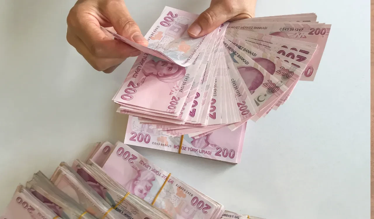  Satış rakamları 