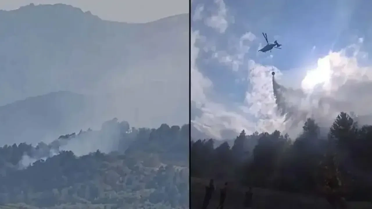 Bursa'da orman yangını! Hem havadan hem karadan müdahale 