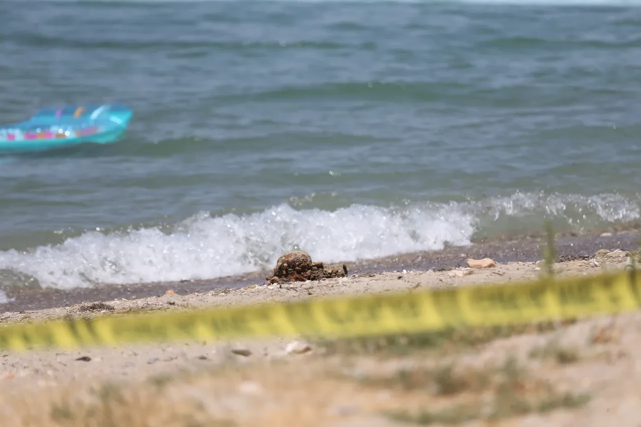 Çanakkale'de yüzerken savaştan kalma mühimmata denk geldi! Bomba imha ekibi geldi