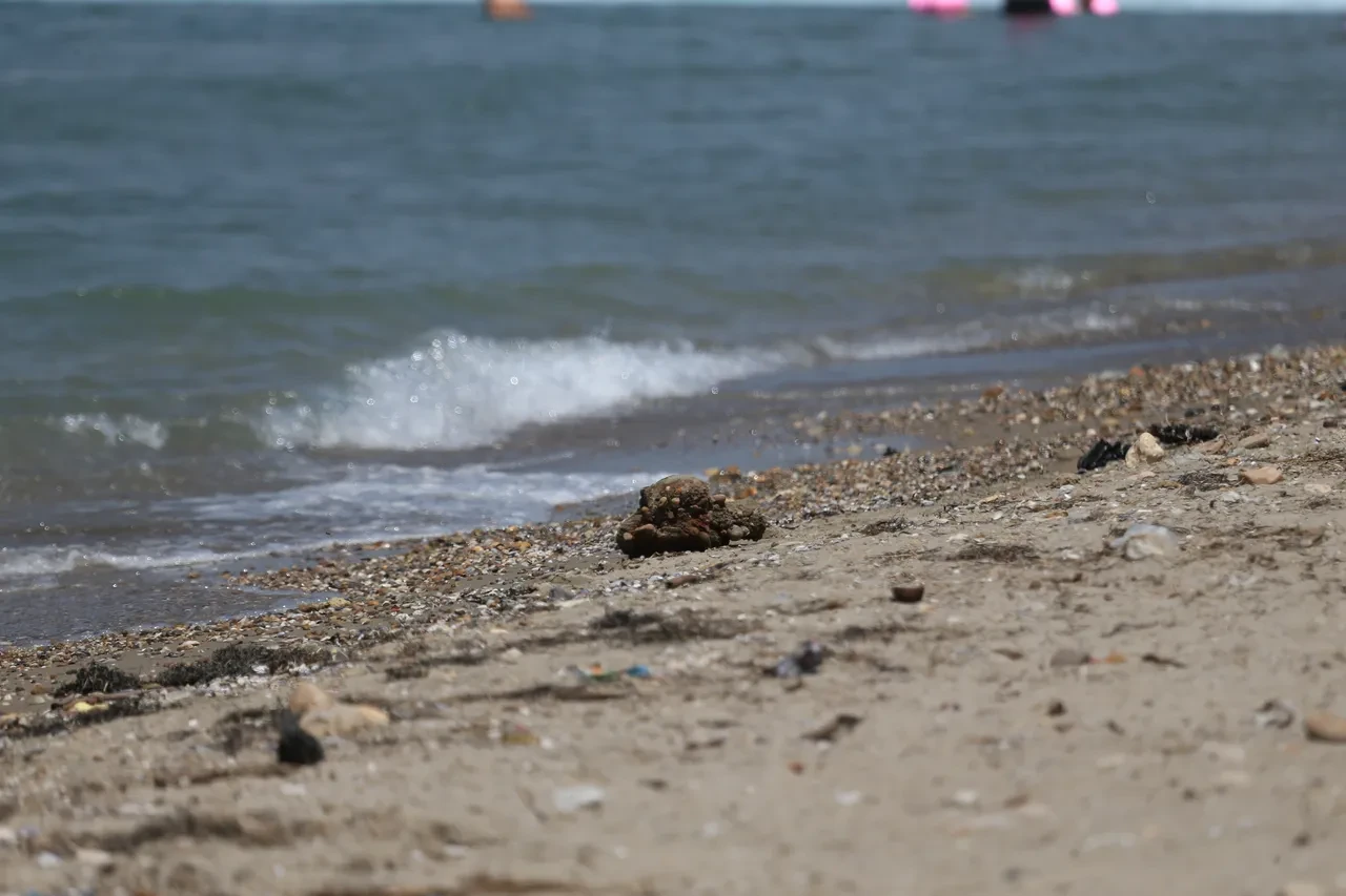 Çanakkale'de yüzerken savaştan kalma mühimmata denk geldi! Bomba imha ekibi geldi